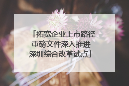 拓宽企业上市路径 重磅文件深入推进深圳综合改革试点