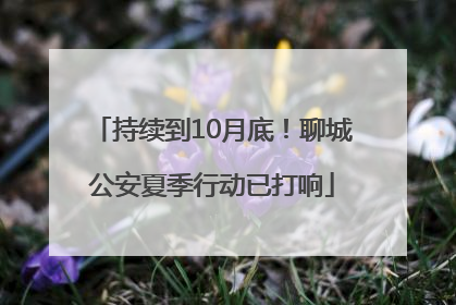 持续到10月底！聊城公安夏季行动已打响