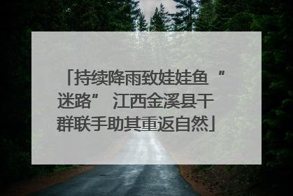 持续降雨致娃娃鱼“迷路” 江西金溪县干群联手助其重返自然