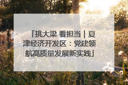 挑大梁 看担当｜夏津经济开发区：党建领航高质量发展新实践