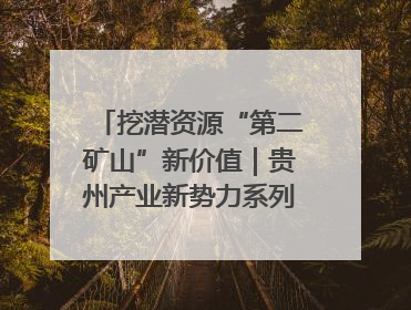 挖潜资源“第二矿山”新价值｜贵州产业新势力系列报道之十四