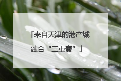 来自天津的港产城融合“三重奏”