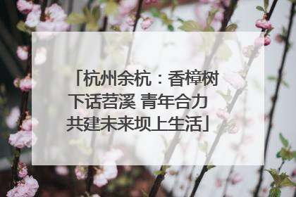 杭州余杭：香樟树下话苕溪 青年合力共建未来坝上生活
