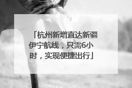 杭州新增直达新疆伊宁航线，只需6小时，实现便捷出行
