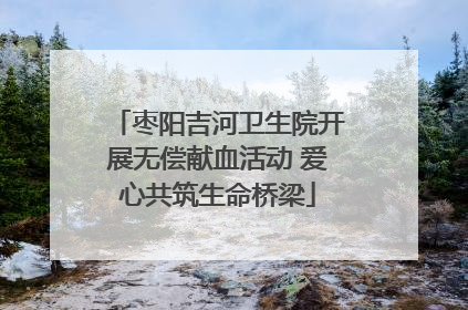 枣阳吉河卫生院开展无偿献血活动 爱心共筑生命桥梁