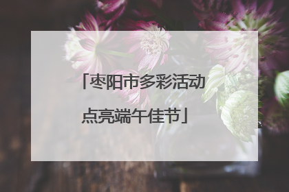 枣阳市多彩活动点亮端午佳节
