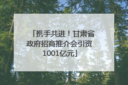 携手共进！甘肃省政府招商推介会引资1001亿元