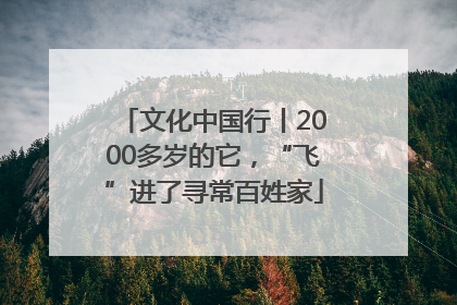 文化中国行丨2000多岁的它，“飞”进了寻常百姓家