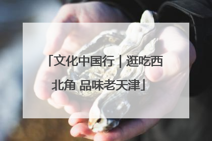 文化中国行｜逛吃西北角 品味老天津