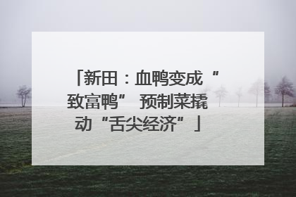 新田：血鸭变成“致富鸭” 预制菜撬动“舌尖经济”