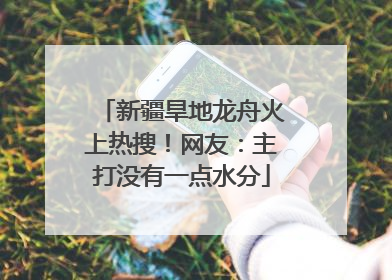 新疆旱地龙舟火上热搜！网友：主打没有一点水分