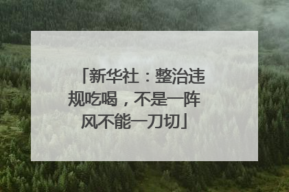 新华社：整治违规吃喝，不是一阵风不能一刀切