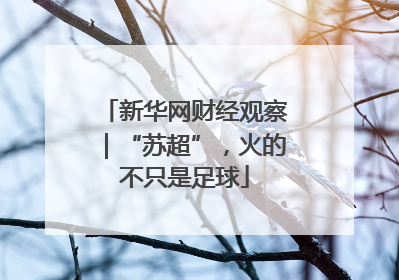 新华网财经观察｜“苏超”，火的不只是足球