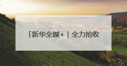 新华全媒+｜全力抢收夏粮 确保颗粒归仓