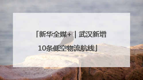 新华全媒+｜武汉新增10条低空物流航线