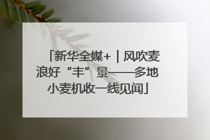 新华全媒+｜风吹麦浪好“丰”景——多地小麦机收一线见闻