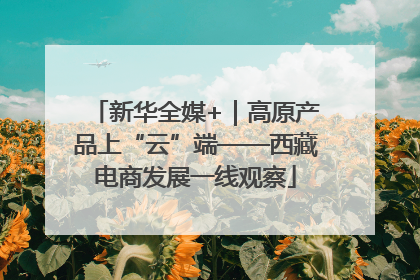 新华全媒+｜高原产品上“云”端——西藏电商发展一线观察