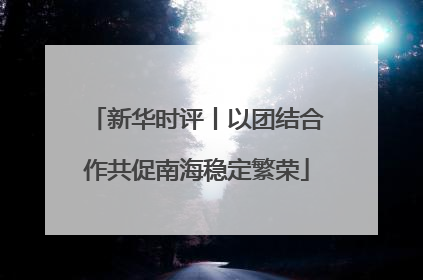 新华时评丨以团结合作共促南海稳定繁荣