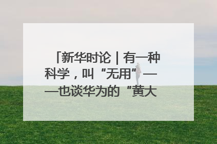 新华时论｜有一种科学，叫“无用”——也谈华为的“黄大年茶思屋”