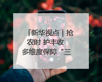 新华视点｜抢农时 护丰收 多维度保障“三夏”生产