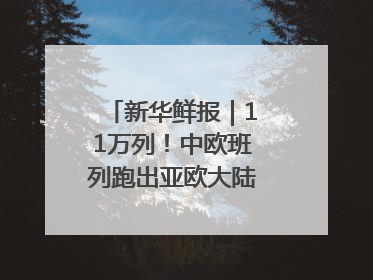新华鲜报｜11万列！中欧班列跑出亚欧大陆“新时速”