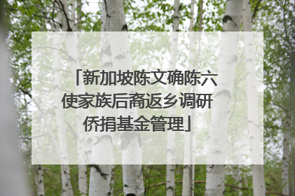 新加坡陈文确陈六使家族后裔返乡调研侨捐基金管理