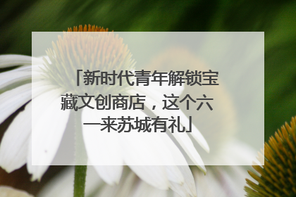 新时代青年解锁宝藏文创商店，这个六一来苏城有礼