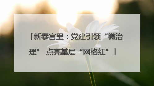 新泰宫里：党建引领“微治理” 点亮基层“网格红”