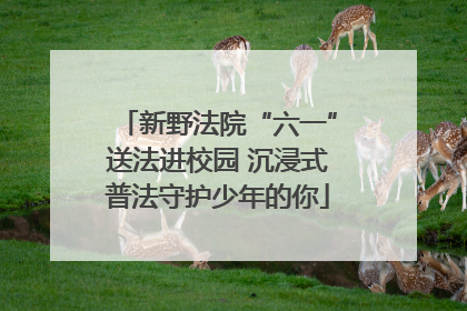 新野法院“六一”送法进校园 沉浸式普法守护少年的你