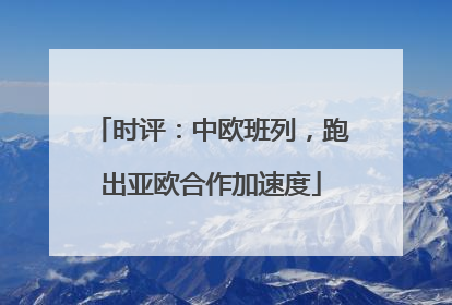 时评：中欧班列，跑出亚欧合作加速度