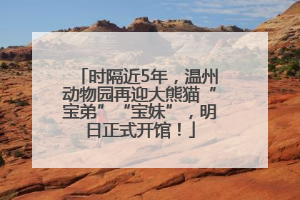 时隔近5年，温州动物园再迎大熊猫“宝弟”“宝妹”，明日正式开馆！