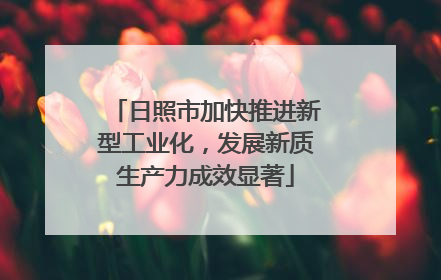 日照市加快推进新型工业化，发展新质生产力成效显著