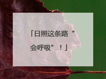 日照这条路“会呼吸”！
