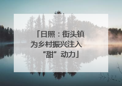 日照：街头镇为乡村振兴注入“甜”动力