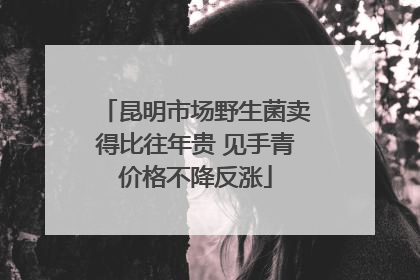 昆明市场野生菌卖得比往年贵 见手青价格不降反涨