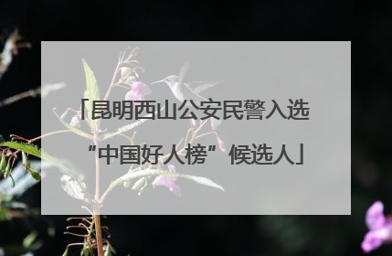 昆明西山公安民警入选“中国好人榜”候选人