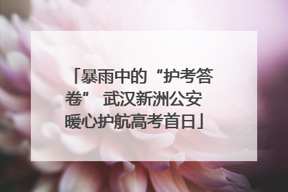 暴雨中的“护考答卷” 武汉新洲公安暖心护航高考首日
