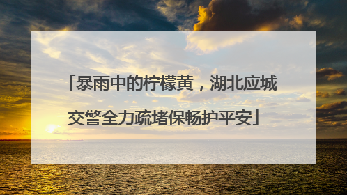 暴雨中的柠檬黄，湖北应城交警全力疏堵保畅护平安