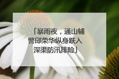 暴雨夜，通山辅警邱荣华纵身跃入深渠防汛排险