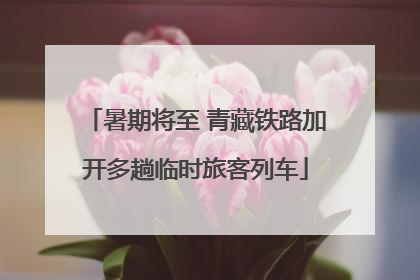 暑期将至 青藏铁路加开多趟临时旅客列车