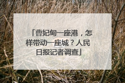 曹妃甸一座港，怎样带动一座城？人民日报记者调查