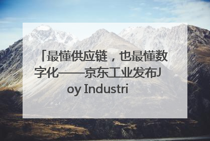最懂供应链，也最懂数字化——京东工业发布Joy Industrial 重塑工业未来
