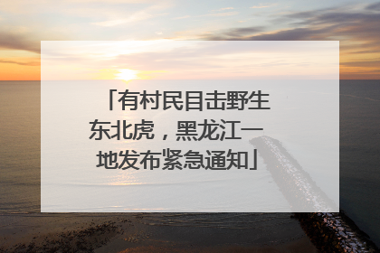 有村民目击野生东北虎，黑龙江一地发布紧急通知