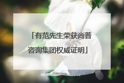 有范先生荣获尚普咨询集团权威证明