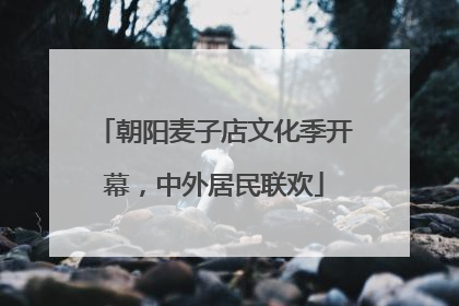 朝阳麦子店文化季开幕，中外居民联欢