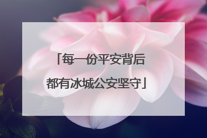 每一份平安背后 都有冰城公安坚守