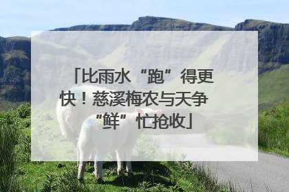 比雨水“跑”得更快！慈溪梅农与天争“鲜”忙抢收