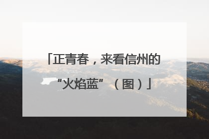 正青春，来看信州的“火焰蓝”（图）
