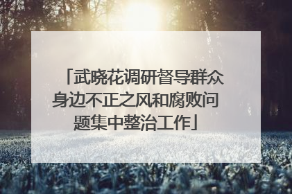 武晓花调研督导群众身边不正之风和腐败问题集中整治工作