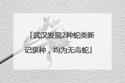 武汉发现2种蛇类新记录种，均为无毒蛇